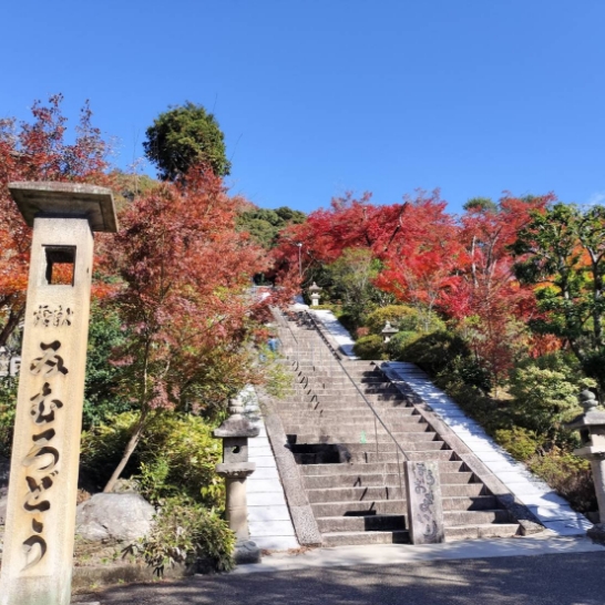 お寺・神社巡り